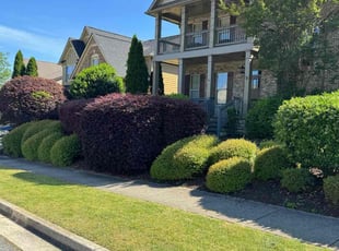 Alfreda C.'s lawn care services service result