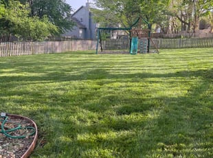 Judith K.'s lawn care service result