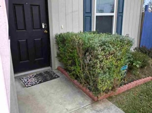 Susan A.'s Bush Trimming service result