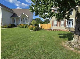 Valerie M.'s turf care service result