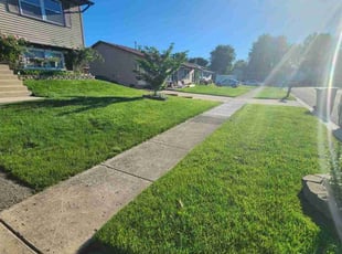 Joshua B.'s Long Grass Cleanup service result