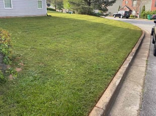 Gene W.'s lawn care service result