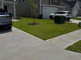 Jennifer B.'s lawn care service result