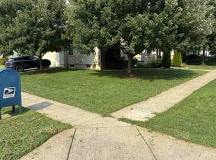Lorraine M.'s turf care service result