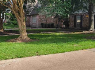 Carolina M.'s landscaping service result