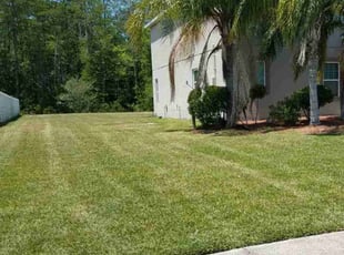 Ashlee D.'s lawn service service result
