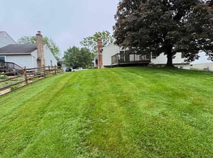 Jermaine W.'s lawn care service result