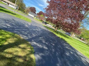 Peter M.'s lawn care service result