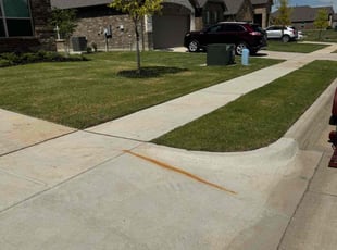 Lisa F.'s turf care service result