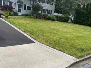 Bruce W.'s turf care service result