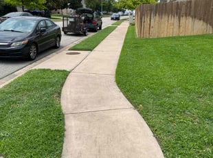 Kevin B.'s grass cutting service result