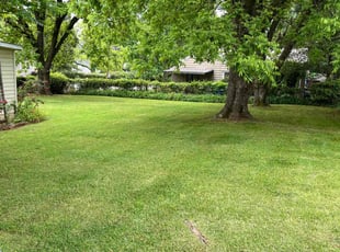 Pj T.'s lawn care service result