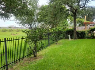 Sue C.'s lawn care services service result