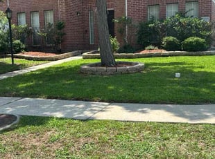 Ferdy D.'s grass cutting service result