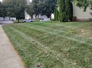 Robert S.'s lawn maintenance service result