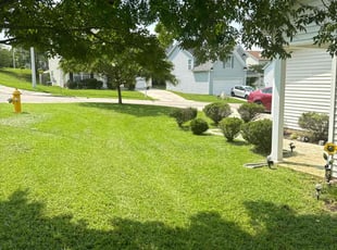 Chris H.'s grass maintenance service result
