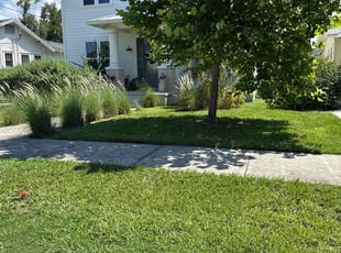 Rita K.'s grass cutting service result