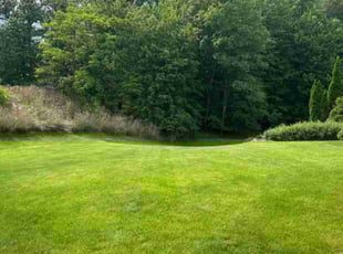 Angela B.'s lawn care service result