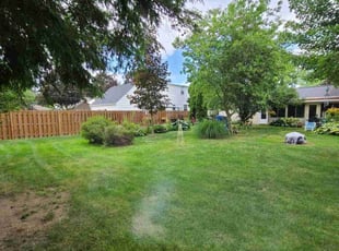 Deshona L.'s lawn service service result