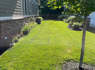 Carla R.'s lawn service service result