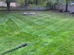 Jeffrey L.'s grass maintenance service result