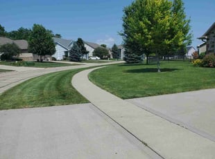 Anita B.'s turf care service result