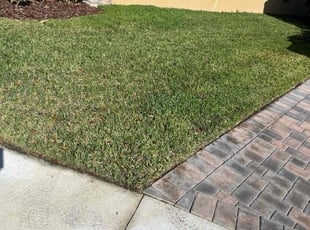 Linda T.'s grass maintenance service result