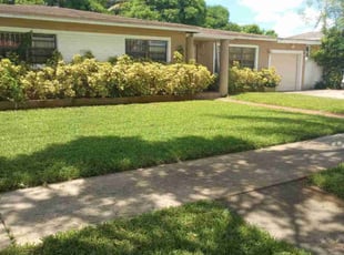 Stephen W.'s grass maintenance service result