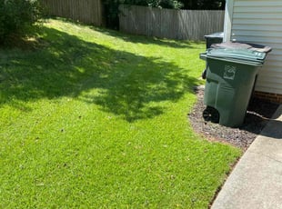 Matthew H.'s grass cutting service result