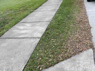 Andrew R.'s grass cutting service result