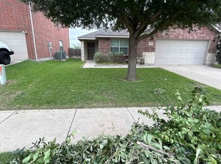 Mark S.'s turf care service result