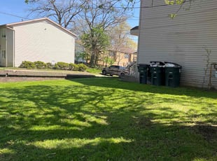 Daniel G.'s grass maintenance service result