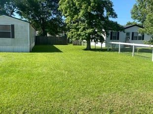 Angela C.'s lawn maintenance service result
