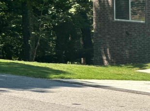Baili O.'s grass cutting service result