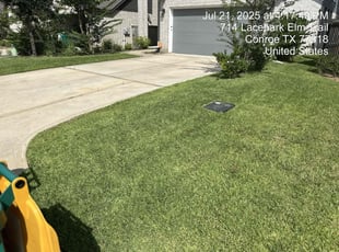 Lavinia W.'s turf care service result