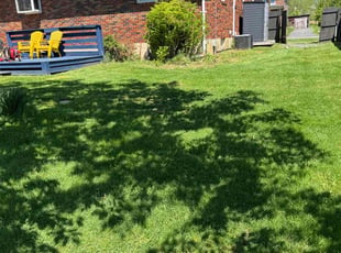 Dylan B.'s turf maintenance service result