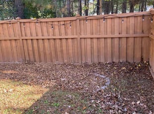 Melyssa H.'s Leaf Removal service result