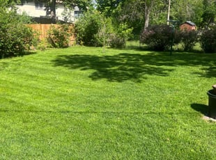 Scott B.'s lawn care services service result