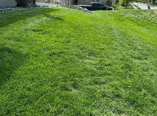 April B.'s turf maintenance service result