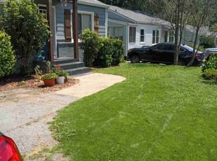Evan L.'s grass maintenance service result