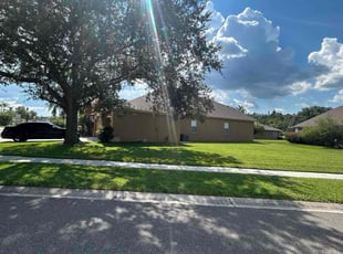 Daniel D.'s grass cutting service result