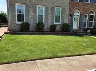 Brodie H.'s lawn care service result