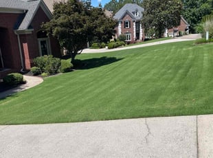 Jaqulyn S.'s lawn maintenance service result