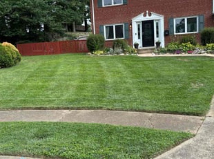 Randy W.'s grass cutting service result