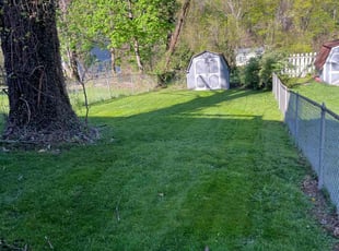 Jesse L.'s lawn care services service result