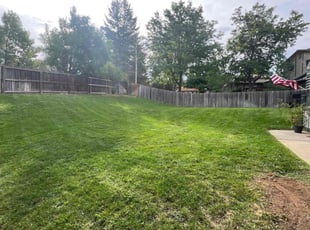 Roberta G.'s grass maintenance service result