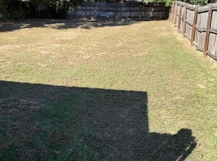 Charles J.'s Bush Trimming service result