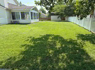 Bart A.'s lawn maintenance service result