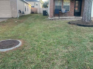 Roy C.'s Landscaping service result