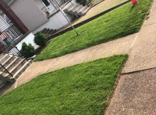 Jason F.'s turf care service result